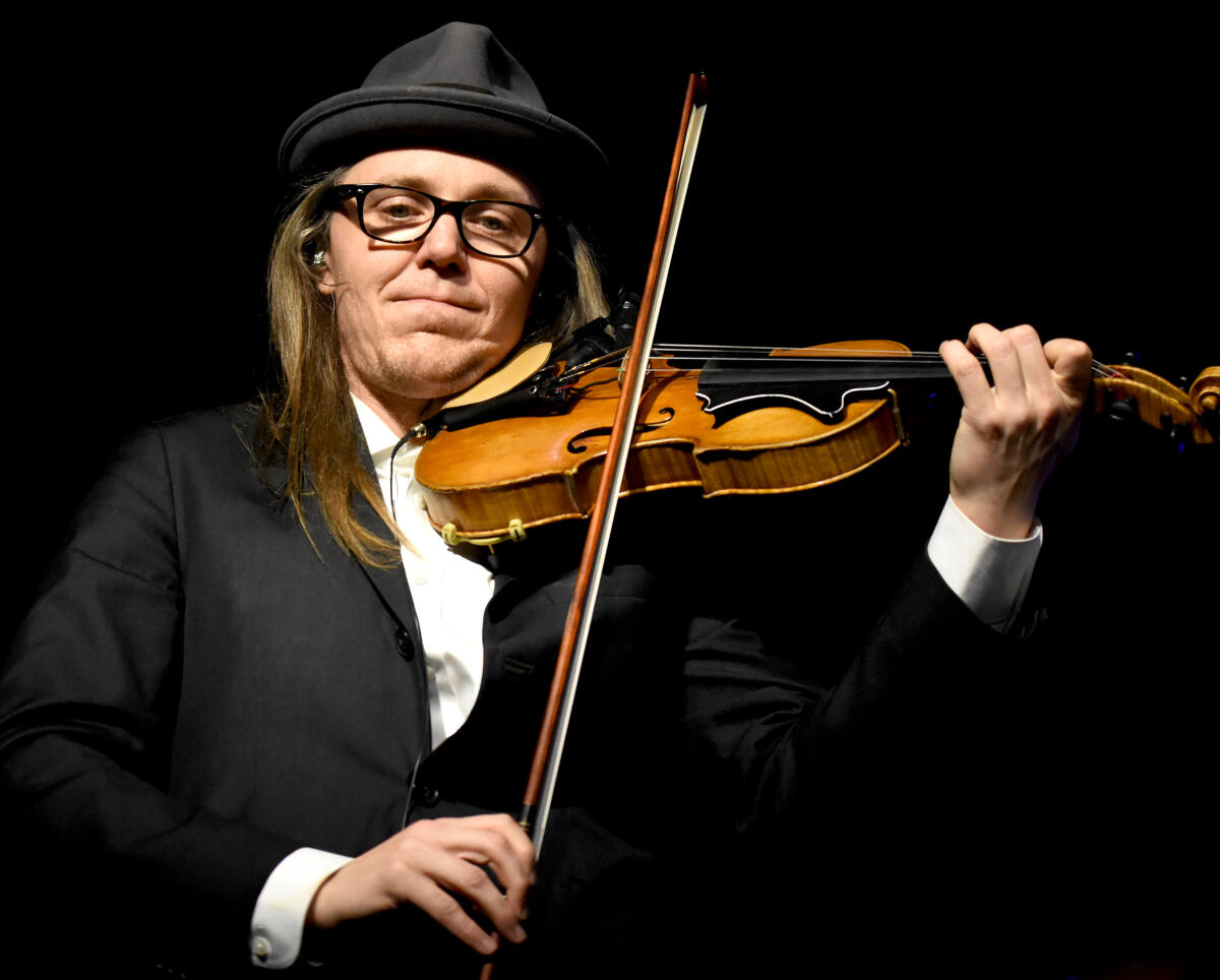 Nikki fiddle
